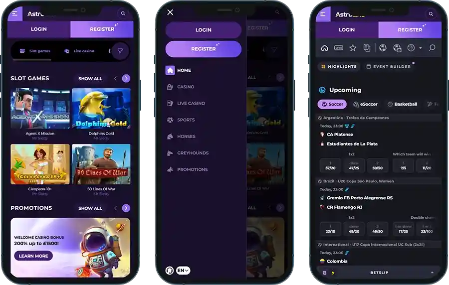 Astrozino Mobile App and Usage